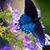 Tina Louise's profile image