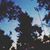 Cande C. Rangel-Rodriguez's profile image