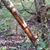 Mark Scoltock's profile image