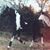 Linn Barnett's profile image