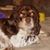 Vickie Kuykendall's profile image