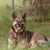 Kolleen Cleary's profile image