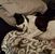 Olivia Kelley-Williams's profile image