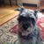 Laurice Rubel's profile image