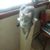 Cleo Royal's profile image