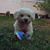 Danna Arcos Camacho's profile image