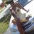 Tahirah La Negra's profile image