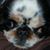Ben Redshaw's profile image