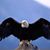 Greg Ryan Sr.'s profile image