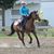 Dee Prins's profile image