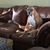 Christopher Meyer's profile image