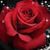 Shirley Schowinsky Arbogast's profile image