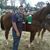 Antonio Sanchez's profile image