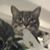 Mar Housley's profile image