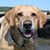 Cari Nally Geraughty's profile image