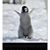 Carol Miland's profile image