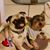Maribel Perez's profile image