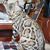 Christina Biery Jackson's profile image