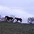 Jody Johannsen Ray's profile image