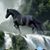 Bobbee Rickard's profile image