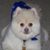 Rich Phillips's profile image