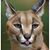 Scott Nasburg's profile image