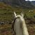 Beth Ann Reed Foglesong's profile image