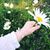 Beth-Ann Nelly's profile image