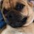 Sharon Eisenhauer's profile image