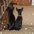 Kathy Parras's profile image
