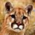 Joan Wolfenbarger's profile image