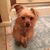 Marsha Wiswell Stephens's profile image