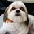Amy Tillman's profile image