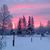 Heather Pearsall McGrath's profile image