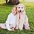Amy Betts Liberatore's profile image