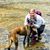 Susan Gagern Smith's profile image