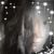 Carmen Alexander's profile image