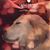 JC Sar's profile image