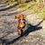Susan Kourea's profile image