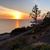 Marsha A. Callender's profile image