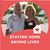 Marlene Whitehead's profile image
