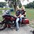 Lisa Balczo's profile image