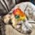 Jacki Rawlins's profile image