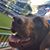 Rick Moncher's profile image