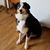 Carrie Fox's profile image