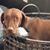 Susan Prather Wood's profile image