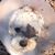 Stephanie McFerren Gabbard's profile image