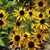 Vicky M Banas's profile image