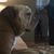 Jessica Conner-Summerford's profile image