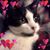 Gail Fink Rizzo's profile image